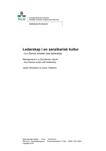 Ledarskap i en zanzibarisk kultur