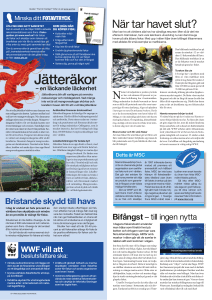 Jätteräkor