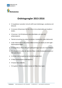 Vad möter de unga?