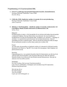 Fördelning projekt ex arb