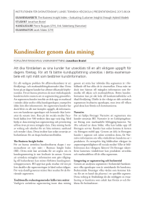 Kundinsikter genom data mining
