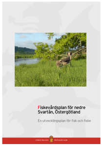Fiskevårdsplan för nedre Svartån, Östergötland
