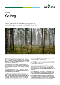 Gallring - Sveaskog