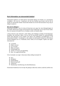 Kort information om ekonomiskt bistånd