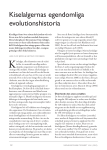 Kiselalgernas egendomliga evolutionshistoria