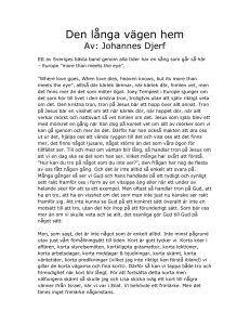 Den långa vägen hem