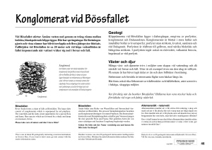 46 Bösfallet - skan