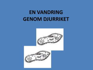 EN VANDRING GENOM DJURRIKET