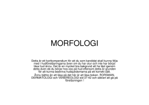 Kompendium morfologi och terminologi