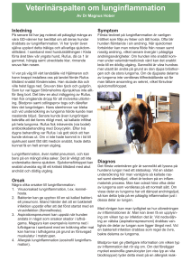 Veterinärspalten om lunginflammation