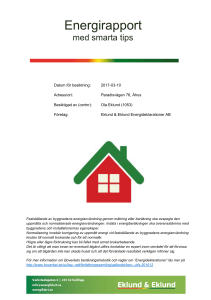 Energirapport