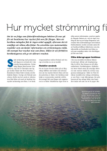 hur mycket strömming finns det?