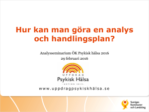bil. punkt 5 utkast analys handlingsplan
