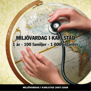 miljövardag i karlstad