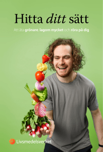 Hitta ditt sätt, SLV