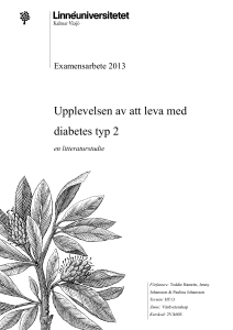 Examensarbete mall - Linnéuniversitetet