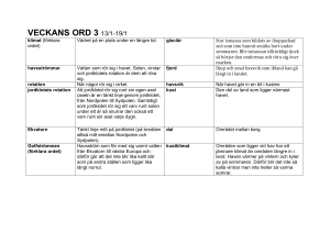veckans ord 3 2017