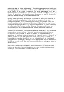 Läs Sara Rattiks projektbeskrivning (msword 16,9 kB)