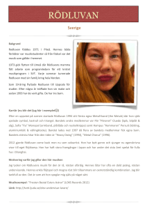 Mall för artistredovisning