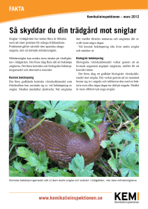 Så skyddar du din trädgård mot sniglar