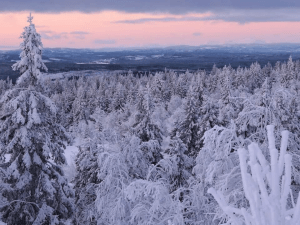 Landstinget Västernorrland Äldre och läkemedel Emelie Sörqvist