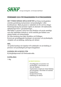 PERENNER OCH PRYDNADSGRÄS PÅ KYRKOGÅRDEN DET