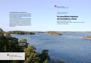Tre mesolitiska boplatser vid Fornvätterns strand