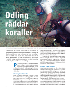 Coral Gardens – ett sätt att odla koraller för framtiden