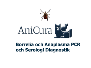 Borrelia och Anaplasma PCR och Serologi Diagnostik
