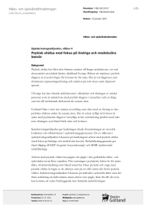 HSN 2013/517 Tjänsteskrivelse