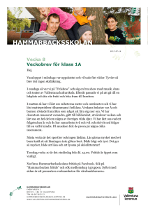 v 8