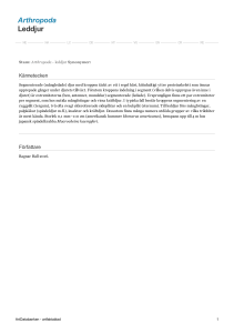 Arthropoda - leddjur - 5000029