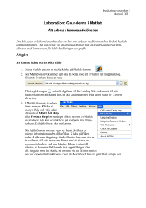 Laboration: Grunderna i Matlab