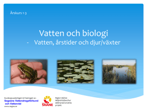 Power-point - Segeåns Vattendragsförbund och Vattenråd