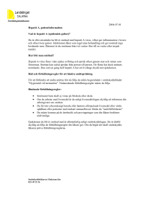 Campylobacter, läkarinformation 2004-07-01