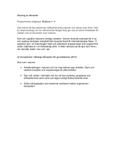 Besök i Akvariet och våra pedagogiska program i Akvariet