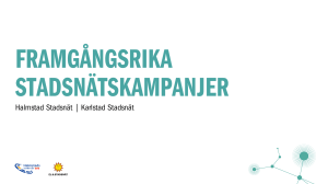 Framgångsrika stadsnätskampanjer