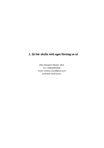 1. Så här skulle mitt eget företag se ut