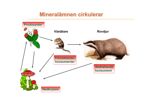 Mineralämnen cirkulerar