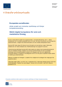 Stärkt digital kompetens för små och medelstora företag