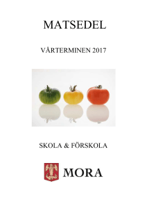 Broschyr Våren 2017, 675 kB