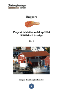 Rapport