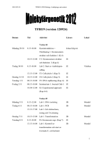 TFBI19 (version 120924) - IFM