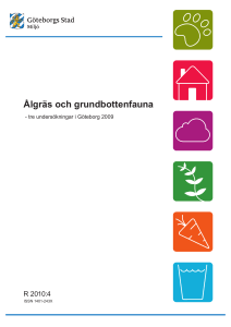 Handläggare - Göteborgs Stad