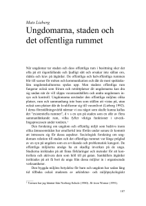 Ungdomarna, staden och det offentliga rummet