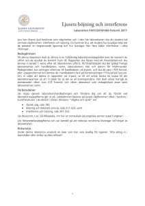Ljusets böjning och interferens
