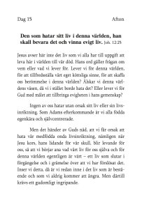 Dag 15 afton