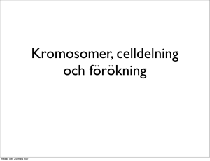 Här - borgar