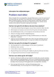 Problem med råttor