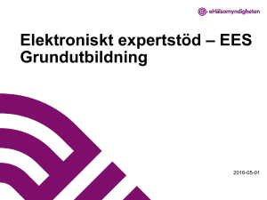 Elektroniskt expertstöd * EES Grundutbildning